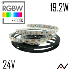 Ruban 24V RGB+6000K 60 Led 5050/M